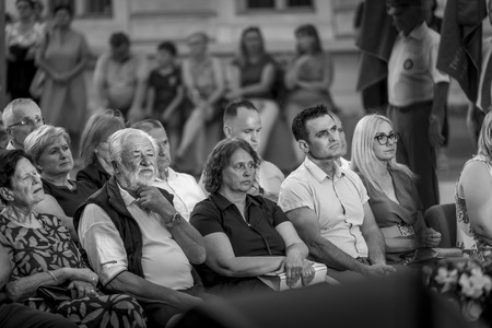 Slovesnost ob dnevu državnosti v Kamniku (6)